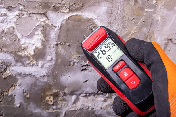 Attic Mold Removal in Hilton Head Island, SC