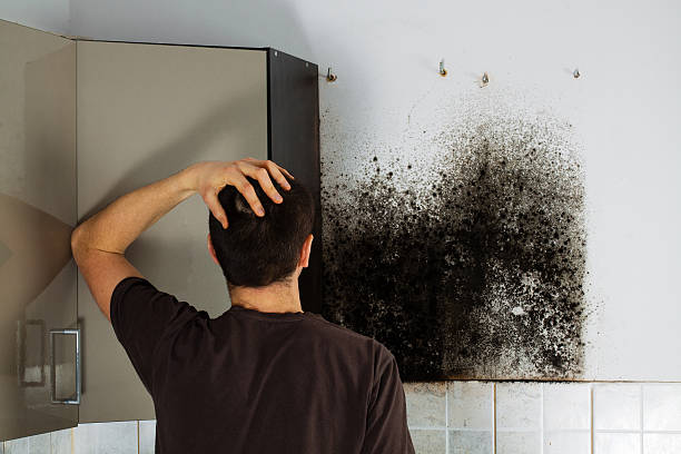 Crawl Space Mold Removal in Hilton Head Island, SC